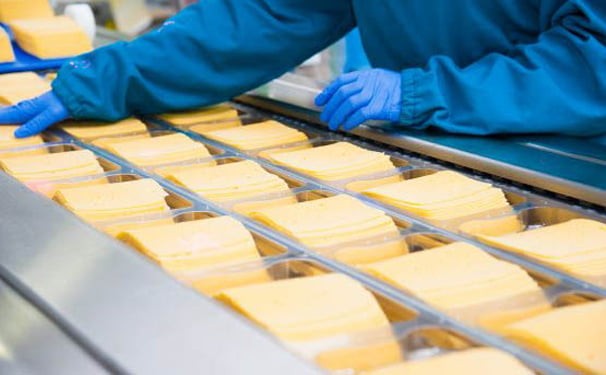 تولید پنیر پروسس